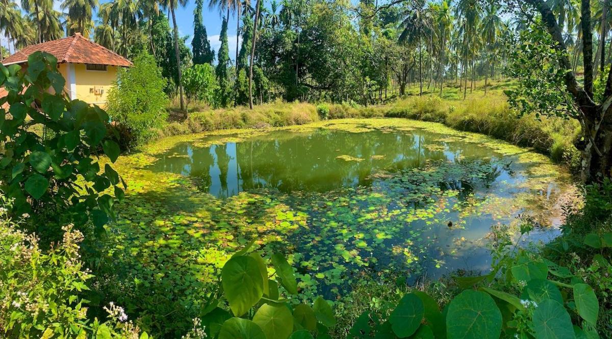 Beautiful Farm House & Villa - Monappa Estate - Top Rated Udupi Luaran gambar