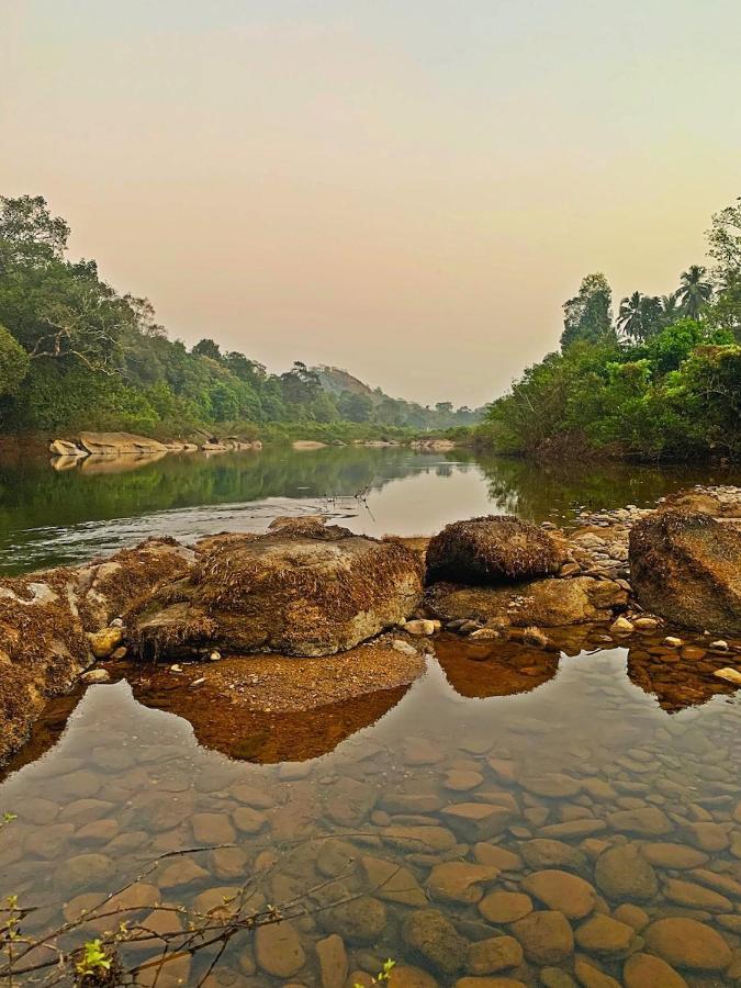 Beautiful Farm House & Villa - Monappa Estate - Top Rated Udupi Luaran gambar