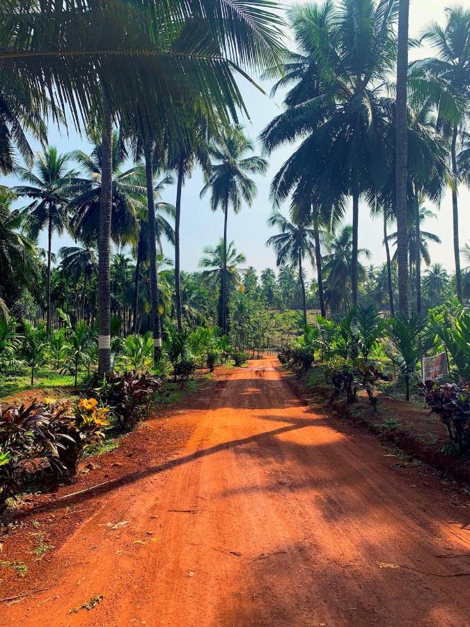 Beautiful Farm House & Villa - Monappa Estate - Top Rated Udupi Luaran gambar